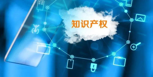 始于專注 精于創(chuàng)新丨國家高新技術(shù)企業(yè) 是資質(zhì)，更是鞭策